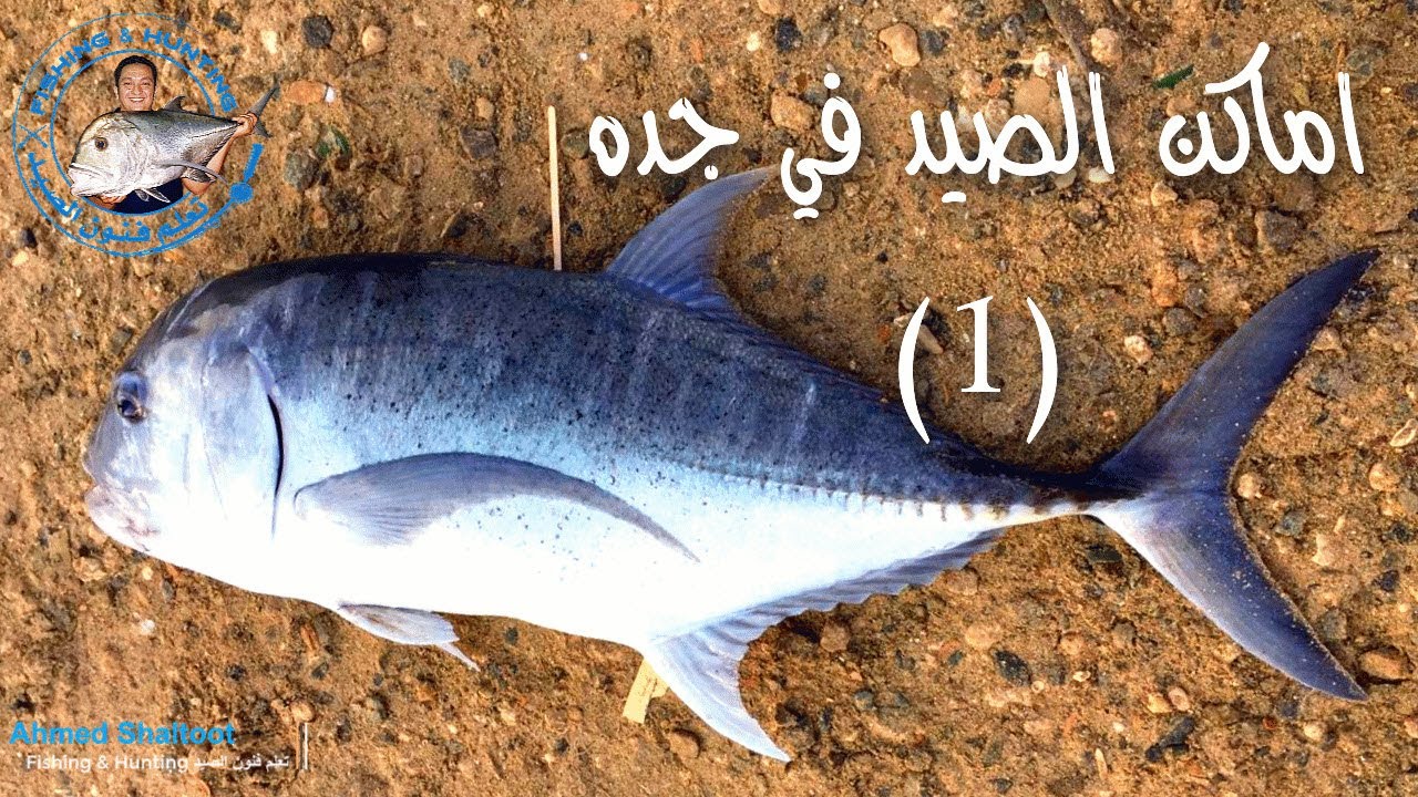 افضل اماكن صيد الاسماك في جدة