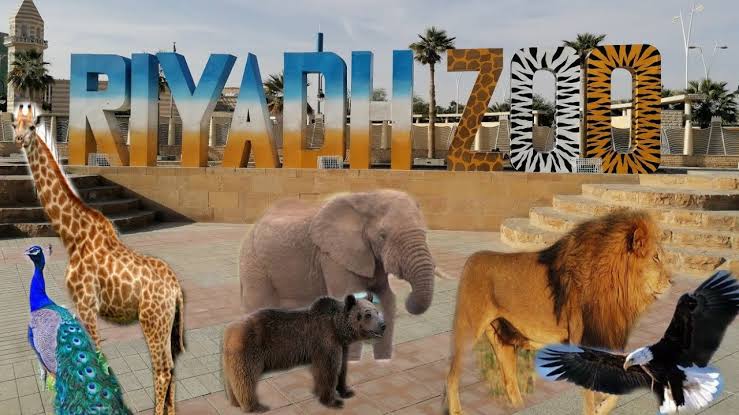 مناطق حديقة الحيوان في موسم الرياض 2022